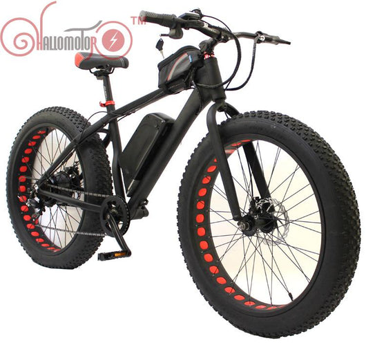 Fat E-bike