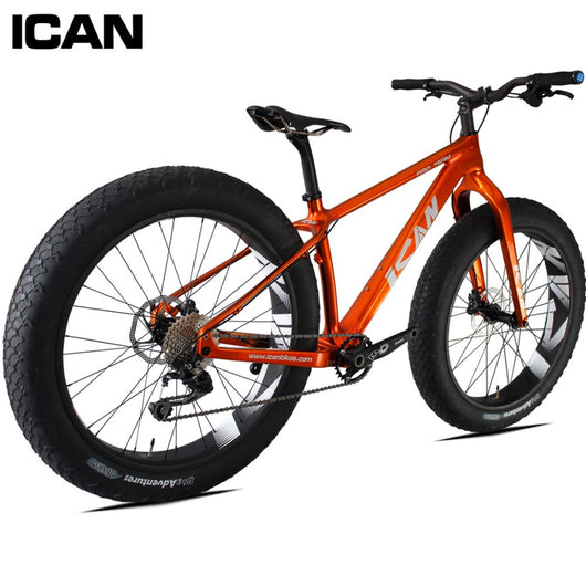 Fat Bike Carbon