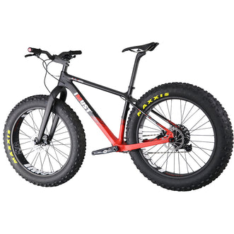 Fat Bike Carbon
