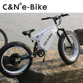 Fat E-bike