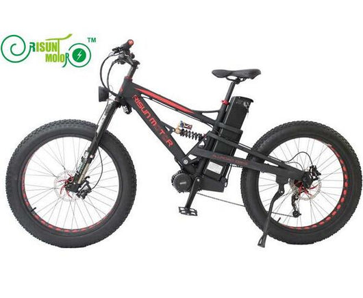Fat E-bike