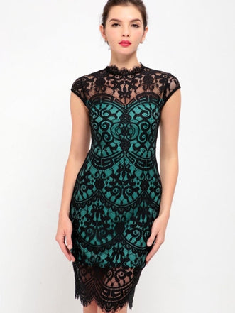 Cloth Cap Sleeve Open Back Women's Lace Dress
