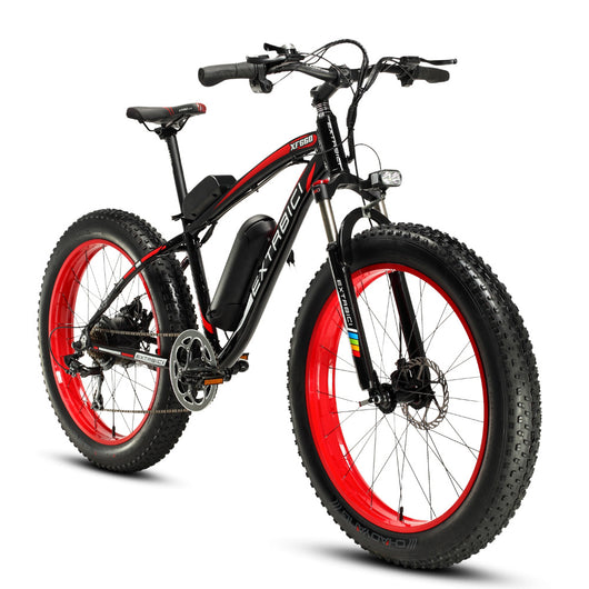 Fat E-bike