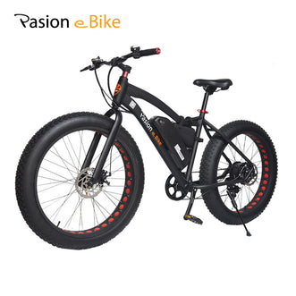 Fat E-bike