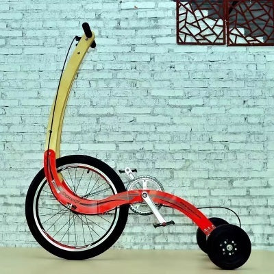 Fat Bike ( Standing Bike )
