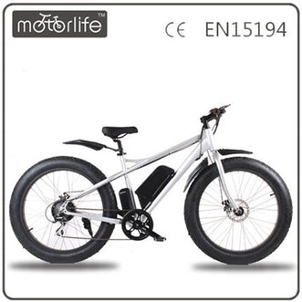 Fat E-bike