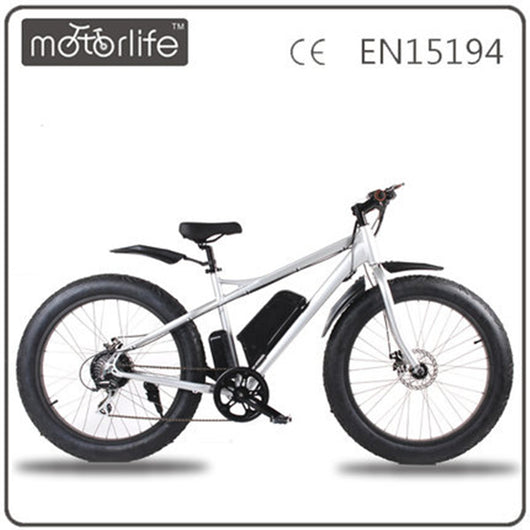 Fat E-bike