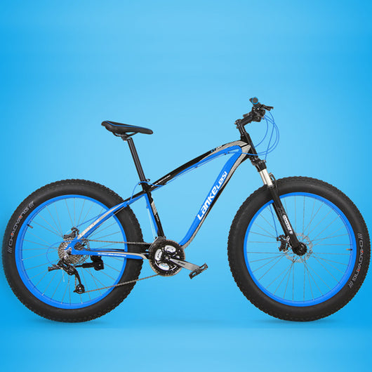 Fat Bike