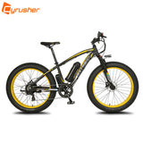 Fat E-bike
